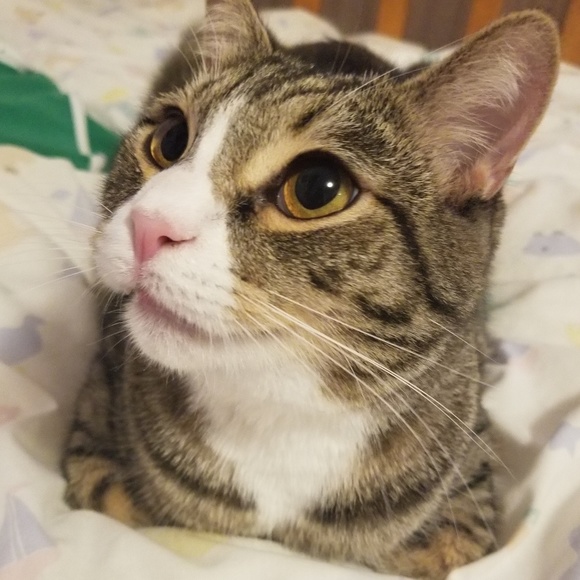 sqooshieblubble